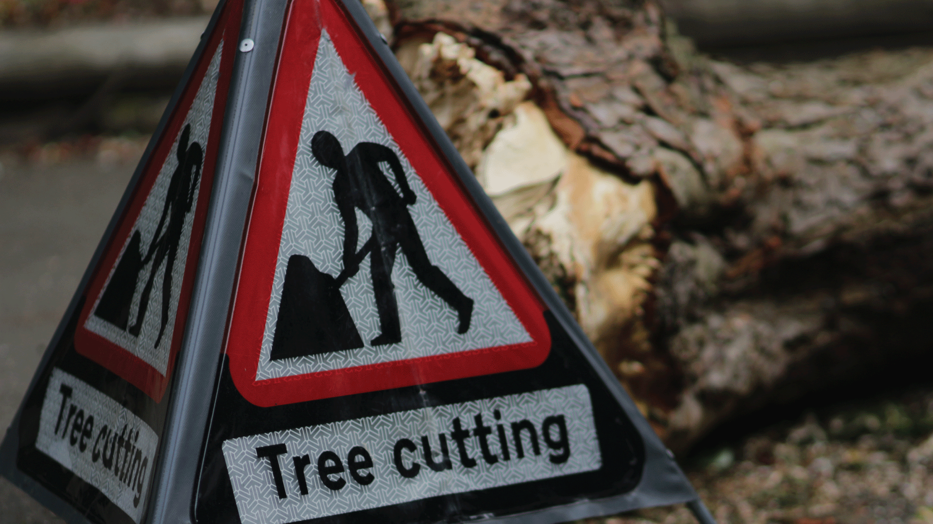 SPR Tree Service Banner-3