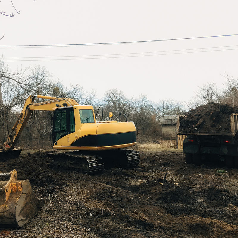 SPR Tree Service Image-7
